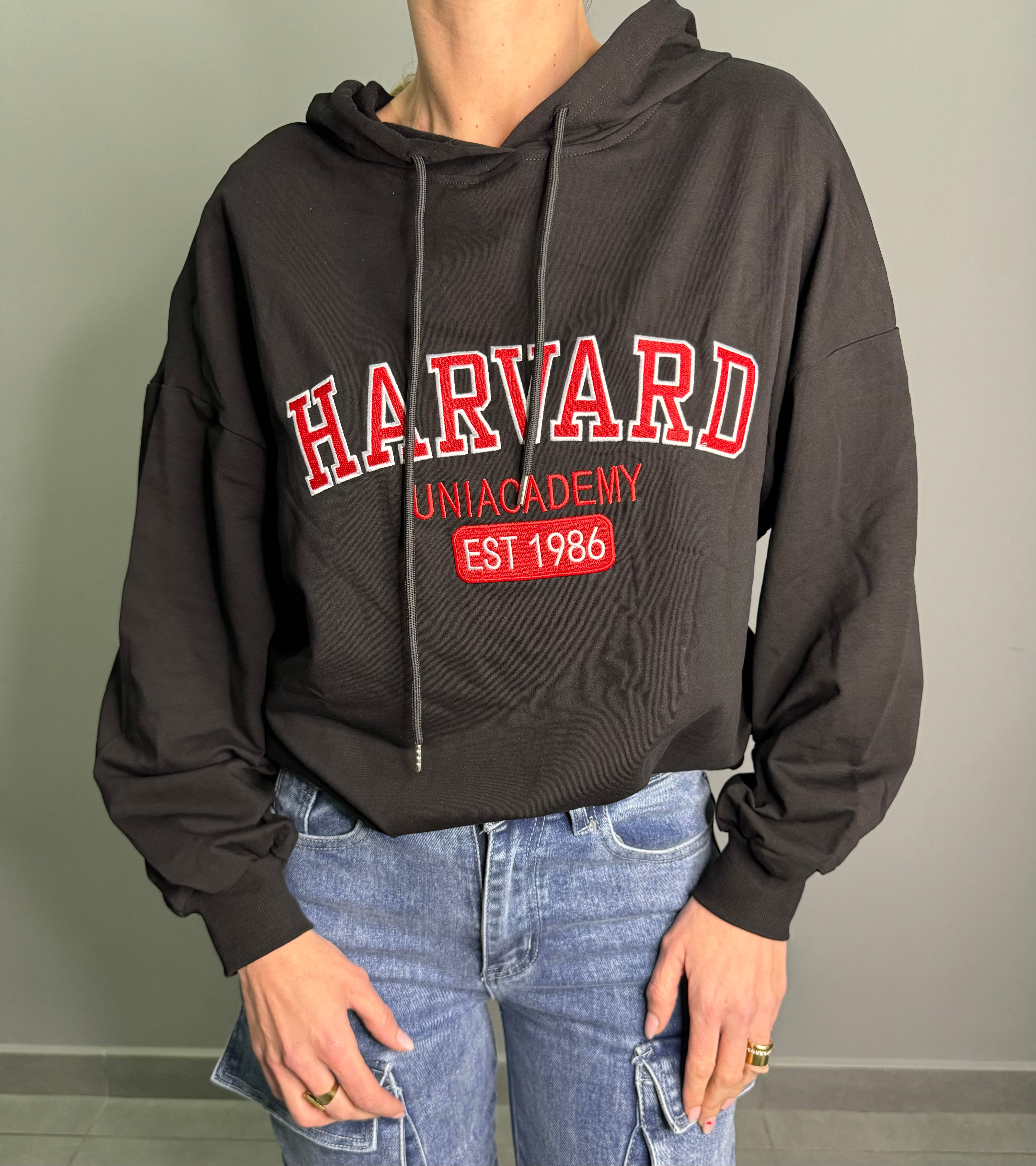 Felpa Harvard