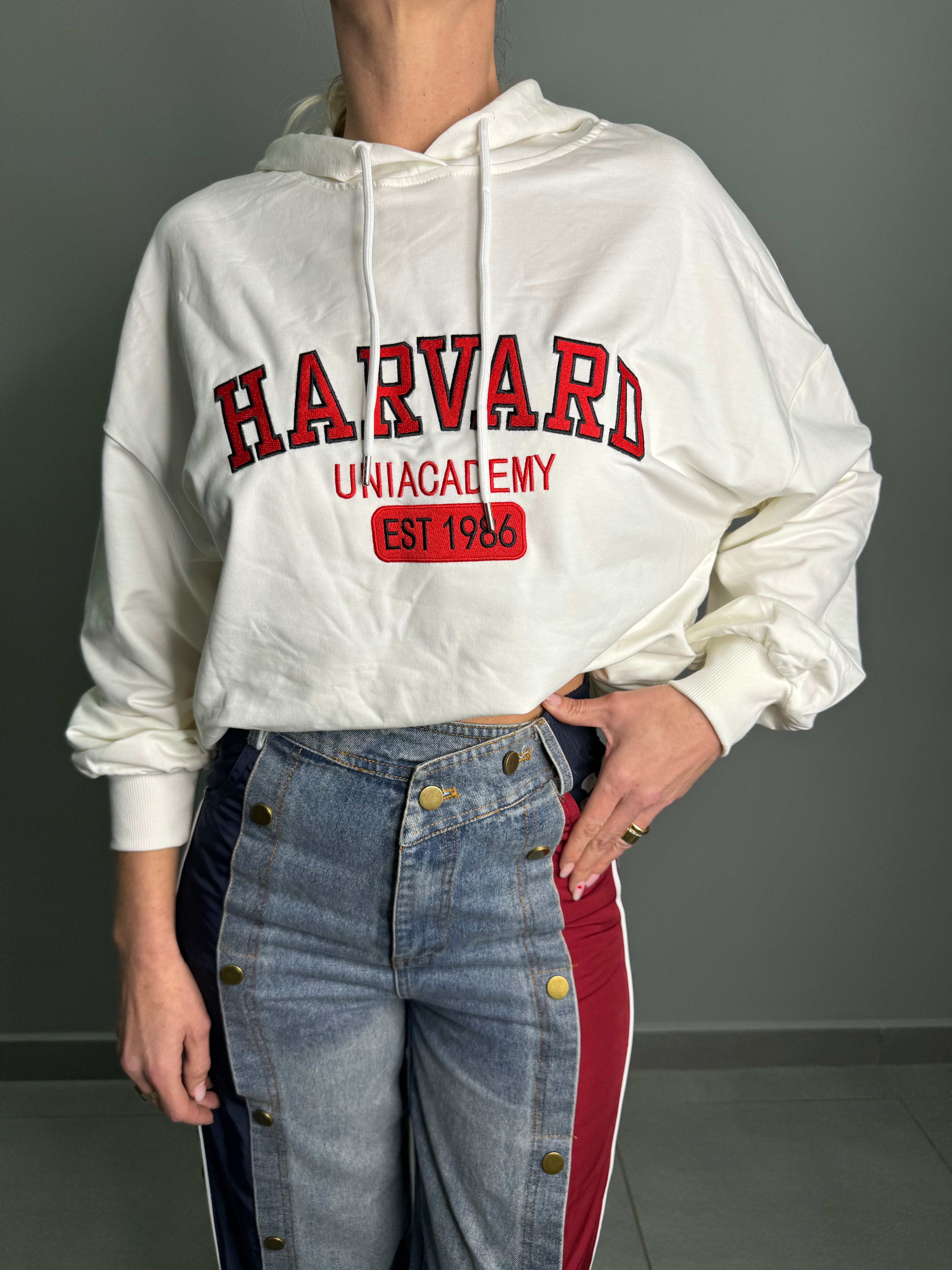 Felpa Harvard